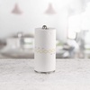 image:imageSpectrum Ashley Standing Paper Towel Holder with Weighted Base for Kitchen Countertop Organization Modern Upright Paper Towel Dispenser for Jumbo amp Standard Size Rolls Satin Nickel Finish