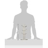 image:imageSpectrum Euro Modern Mug Stand for Coffee Cups Mugs Espresso Teacups Kitchen Organizer Standing Cup Tree for 6 Mugs Sturdy Steel Base with Six Hook Arms Support Most Sizes BlackSatin Nickel
