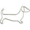Dachshund